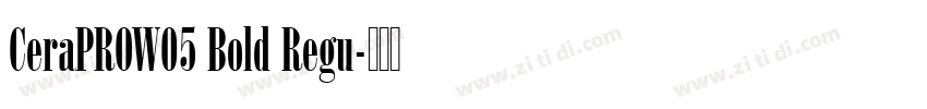 CeraPROW05 Bold Regu字体转换